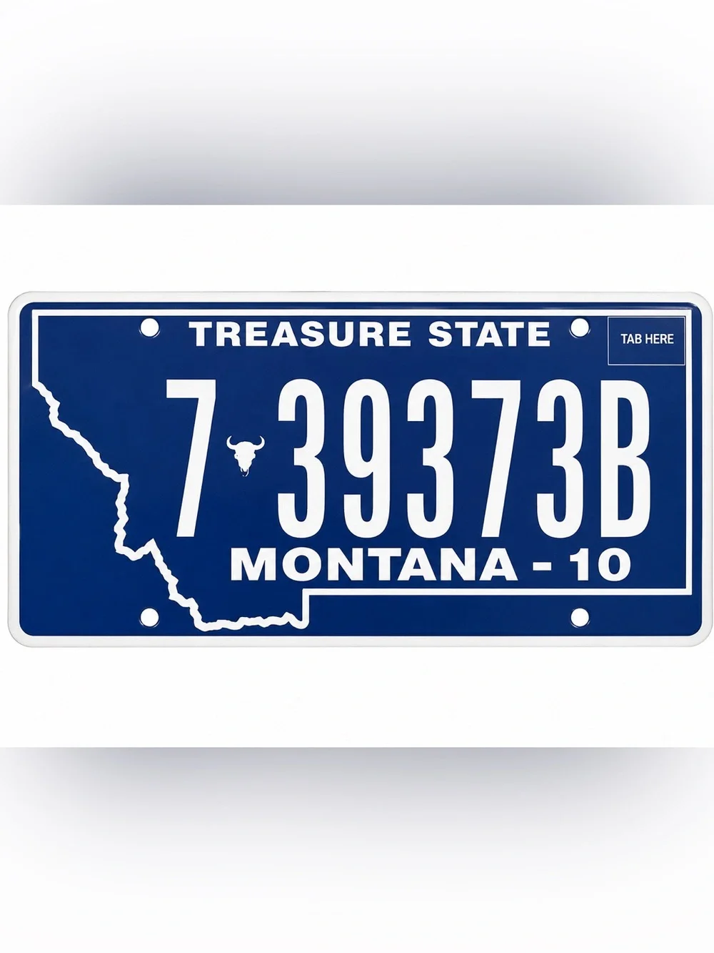 Montana Treasure State License Plate